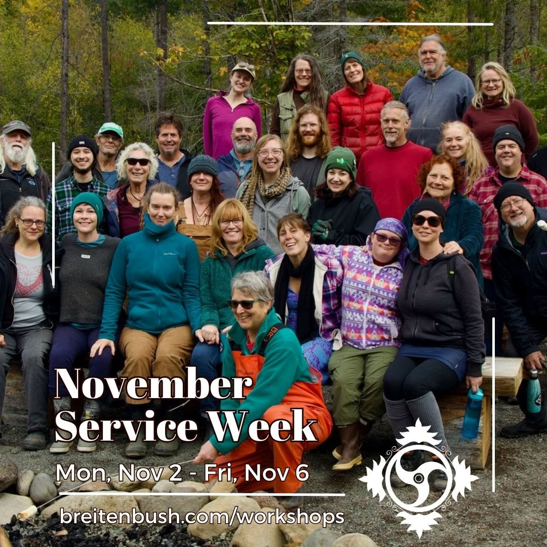 Novemberservicevecka