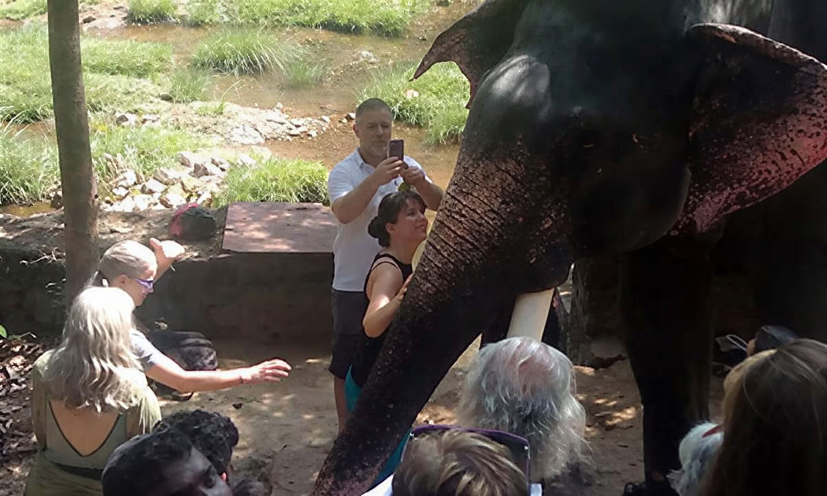 28 dagars panchakarmabehandling i Kerala