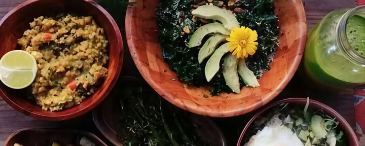 Ayurvedisk näringskurs