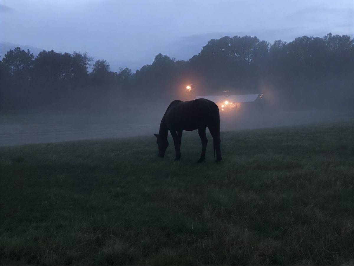 Retreatåtervändare 4 dagars upplevelsebaserad läranderetreat för kvinnor med hästar