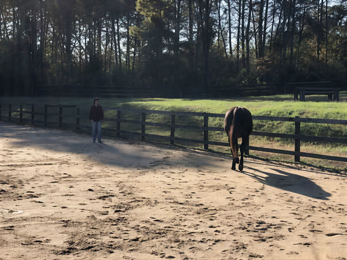 Retreatåtervändare 4 dagars upplevelsebaserad läranderetreat för kvinnor med hästar