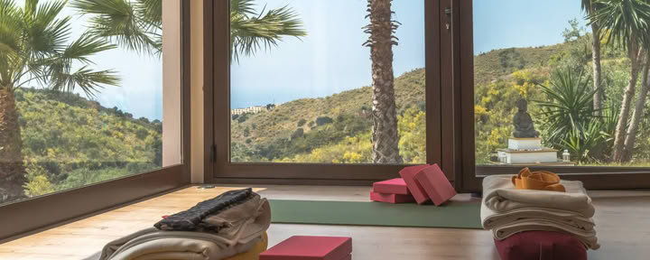 Iyengar-yogasemester med Karen Calder
