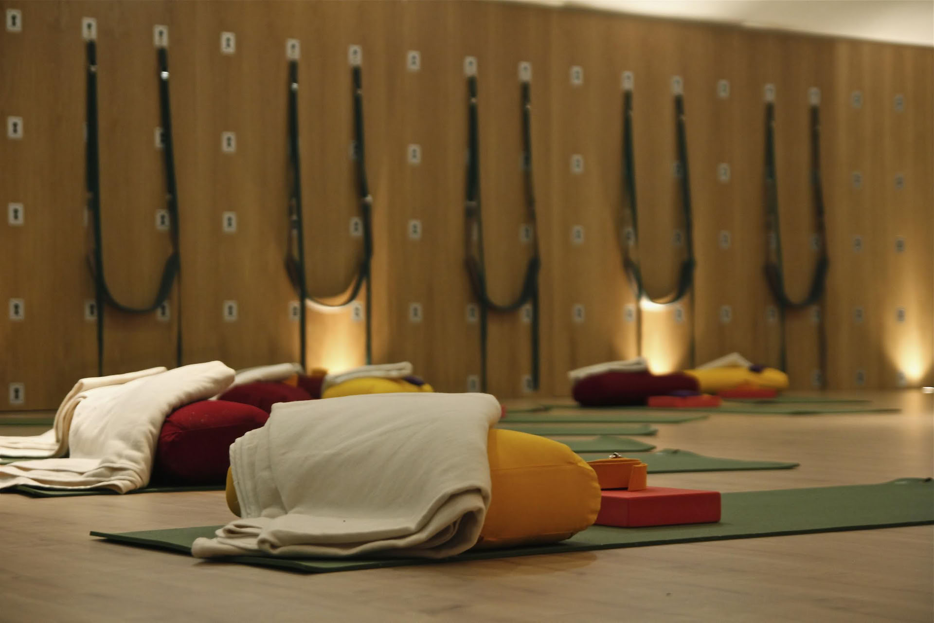 Yogaferier med Tanja och Joey – The Yoga Place