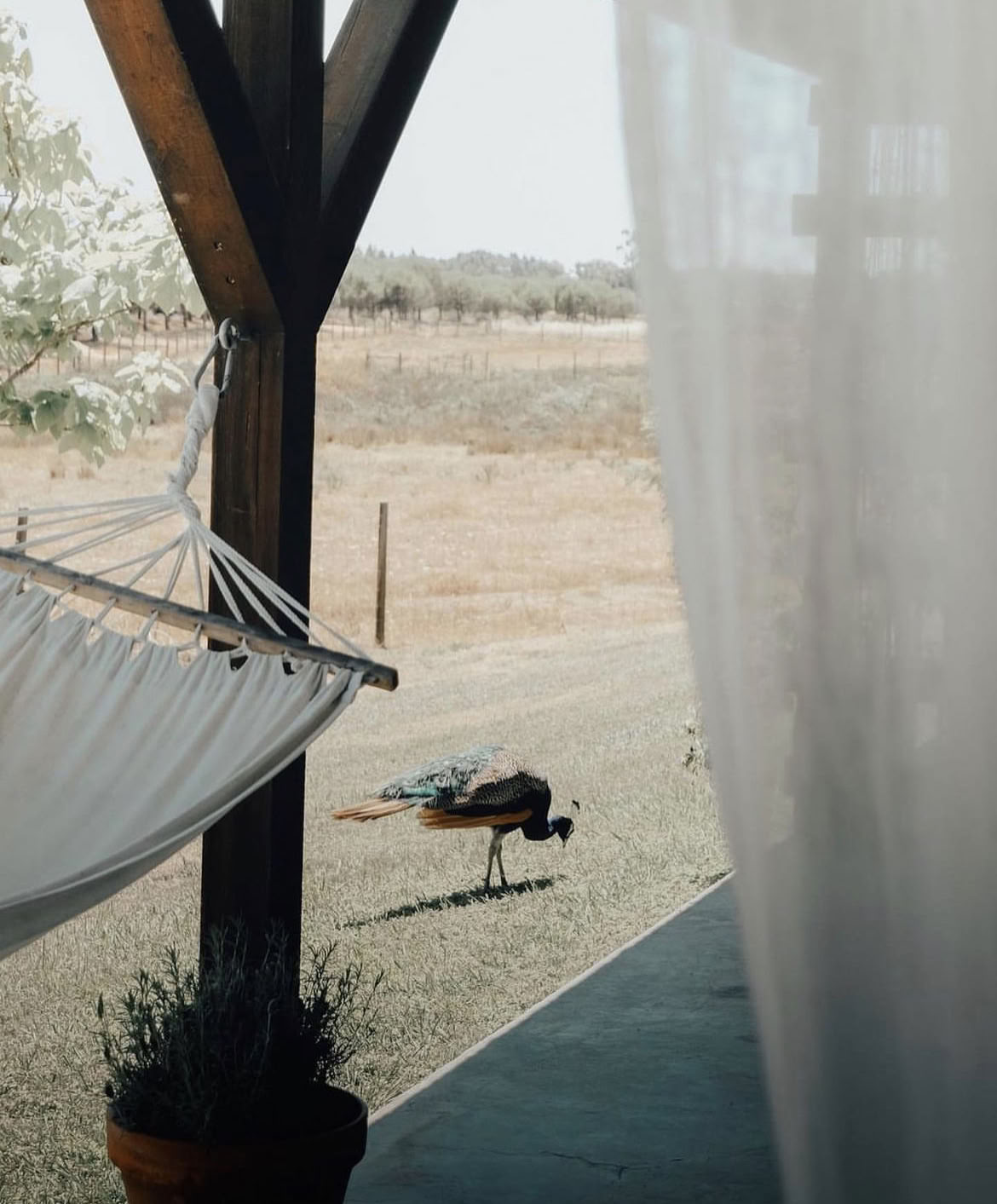 Återkoppla med yogaretreat i Portugal