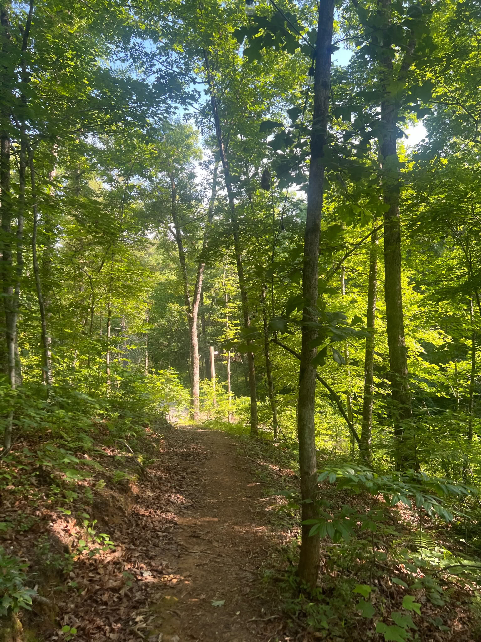 Att göra meditation till en vana: en yoga- och meditationsretreat