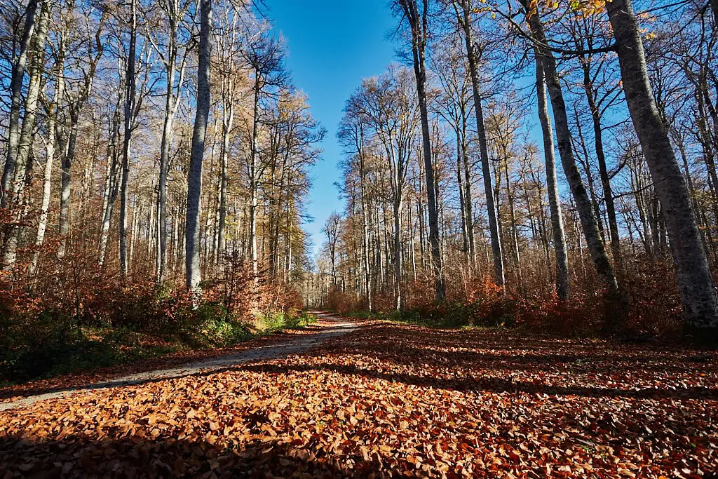 Meditation & yoga-retreat: Den mysiga novemberflykten