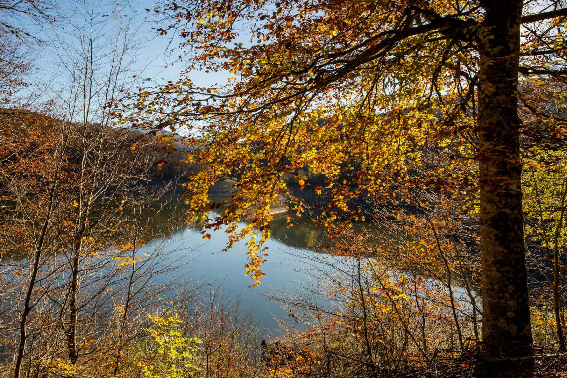 Yoga- och meditationssanctuary: en omfamnande retreat i Irati-skogen