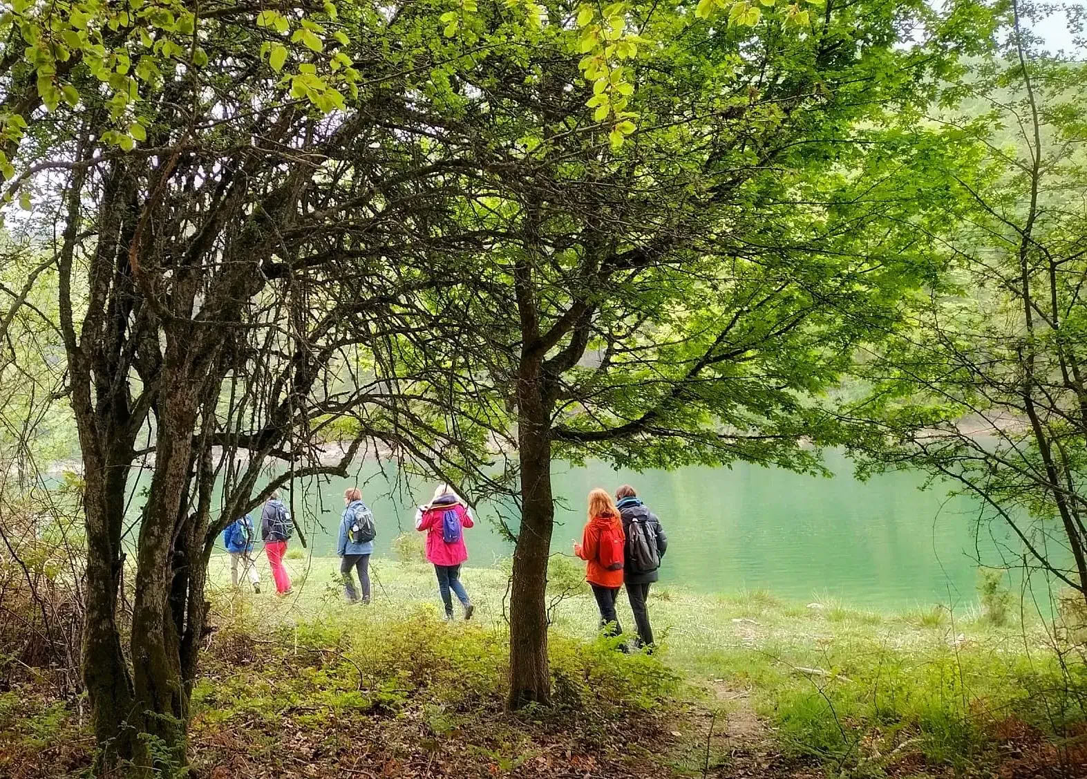 Oktober yogaretreat: Den gyllene skogsupplevelsen
