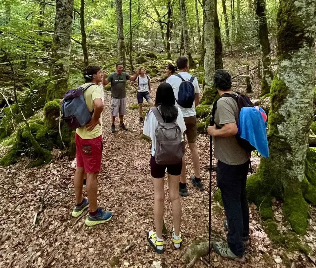 Oktober yogaretreat: Den gyllene skogsupplevelsen