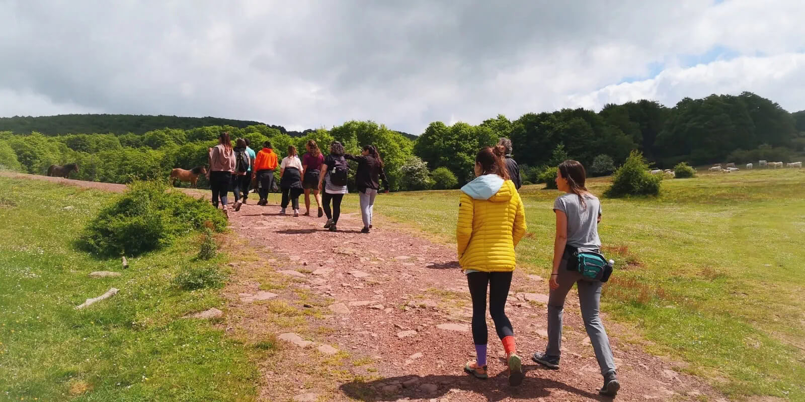 Yoga & naturretreat: Den gyllene skogsimmersjonen