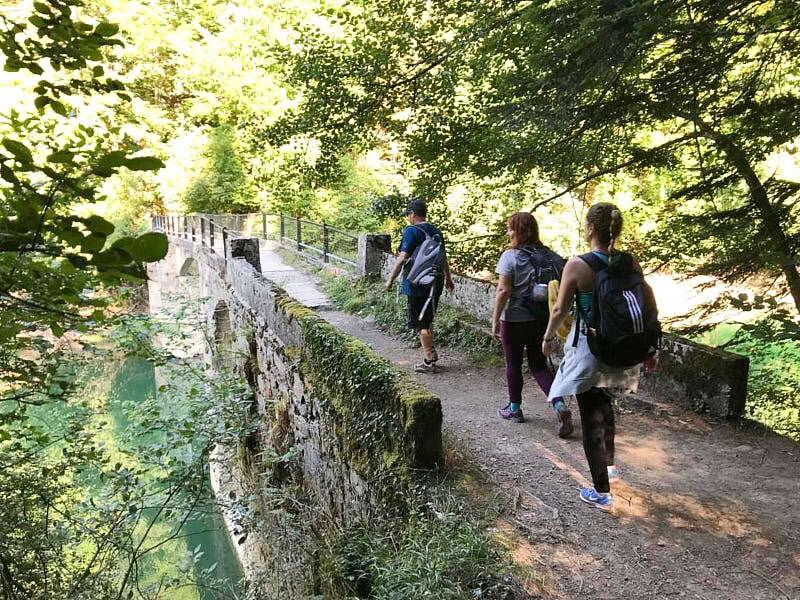 Yoga-retreat under majhelgen: skog och förnyelse