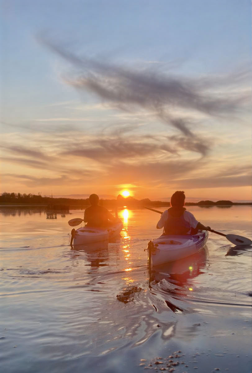 Sommarläger för vuxna - JULI