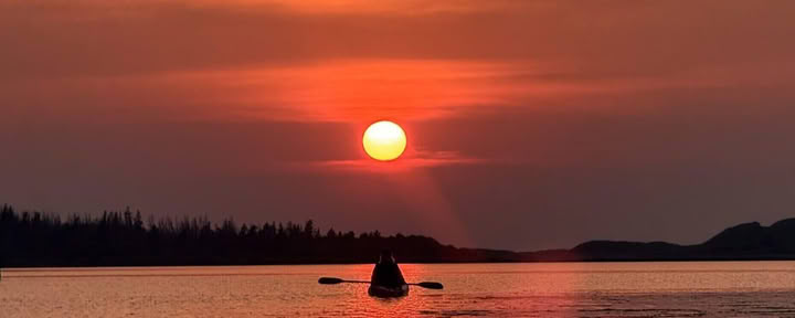 Sommarläger för vuxna - JULI