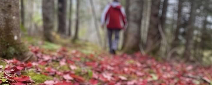 Omforma ditt fokus