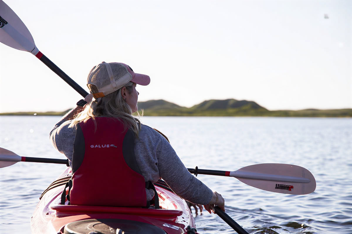 Veterinär välmåend- och ledarskapsretreat med stigande tidvatten