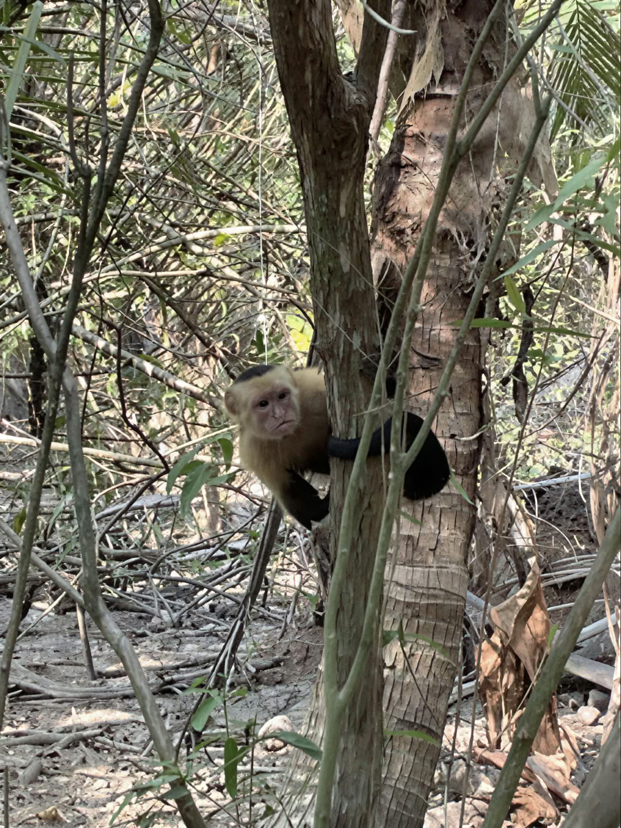 Natur- och rymdäventyrsretreat – Costa Rica