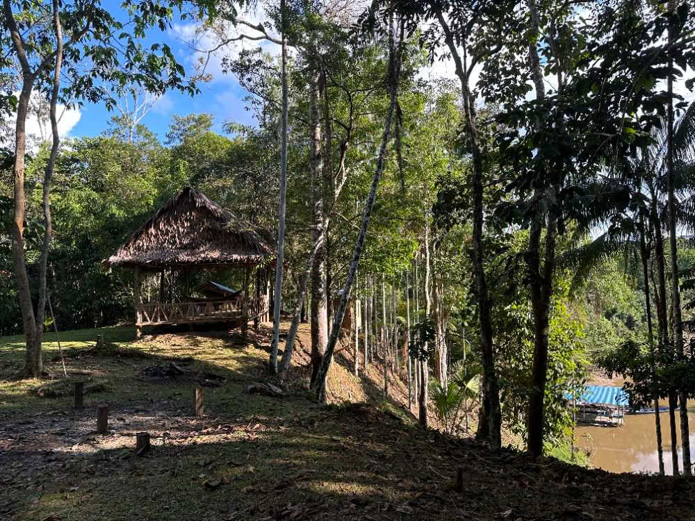 Traditionell ayahuasca-ceremoni