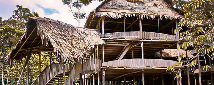 9-dagars ayahuascaretreat