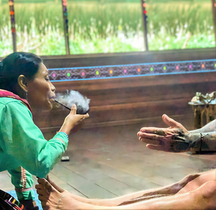 5 dagars introduktion till ayahuasca och amazonisk växtmedicin