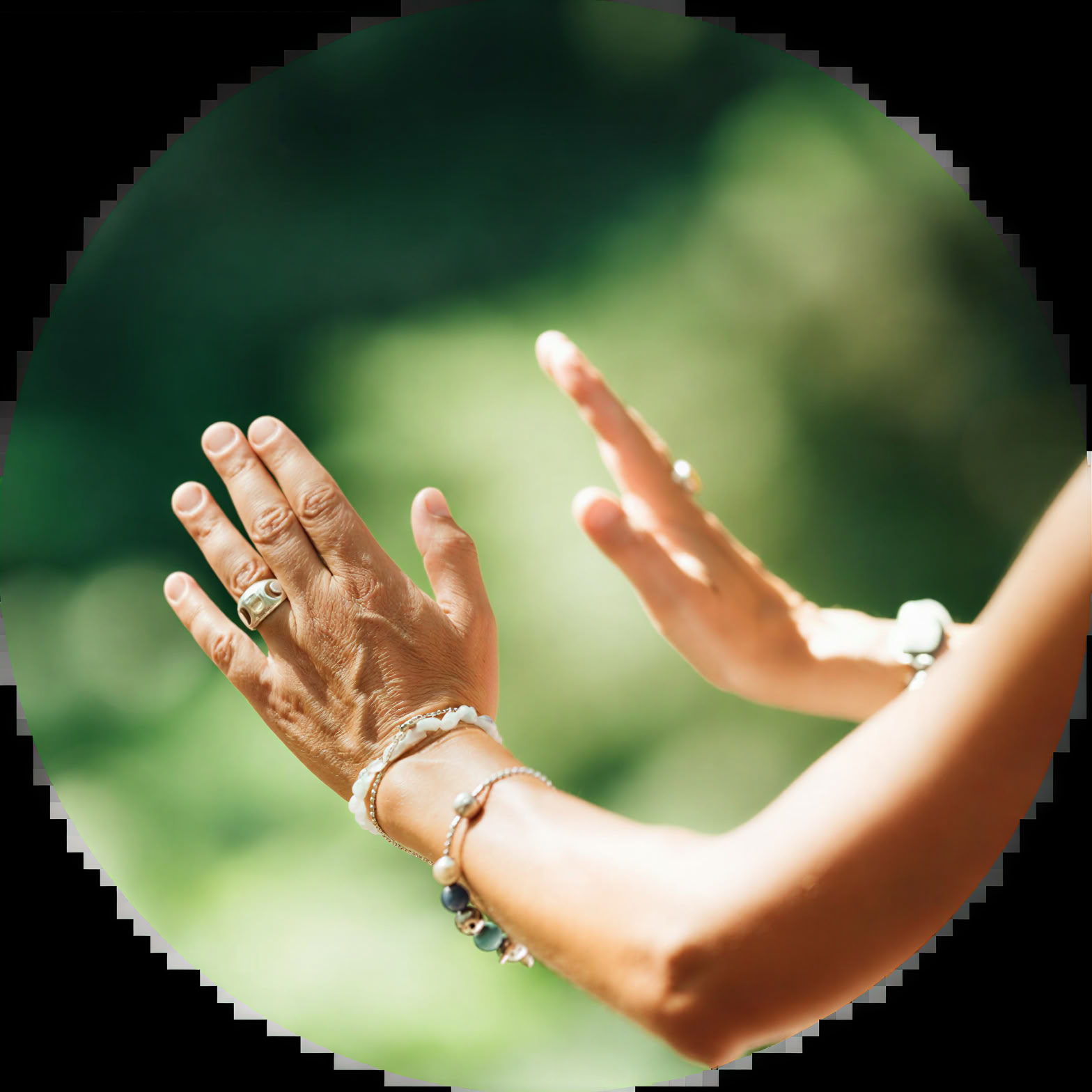8-dagars helig växt-retreat med psilocybin / magisk svamp