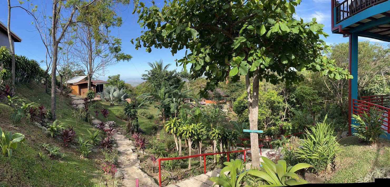 Andlig ayahuasca-retreat i Costa Rica
