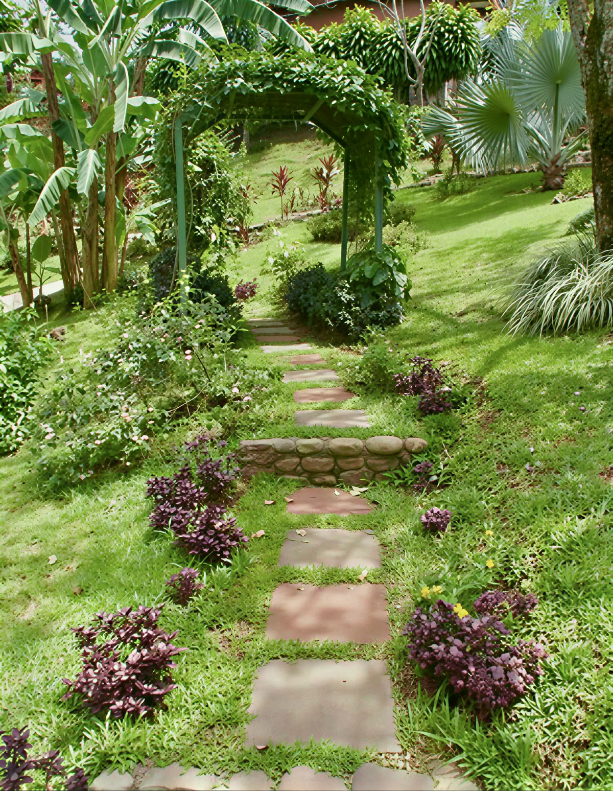 Andlig ayahuasca-retreat i Costa Rica