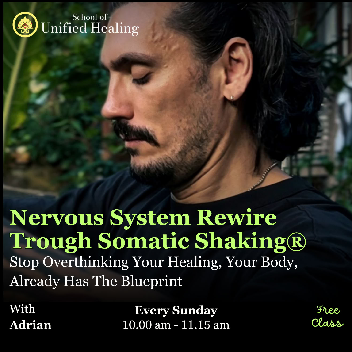 Ljudhealing