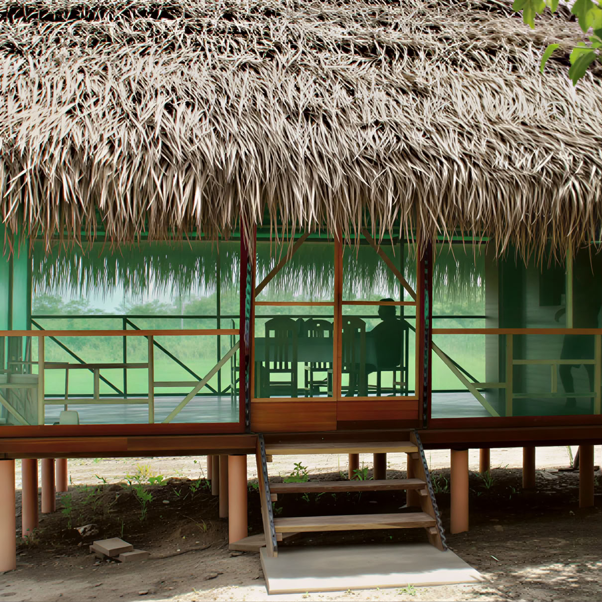 2 veckors ayahuasca-retreat i Peru
