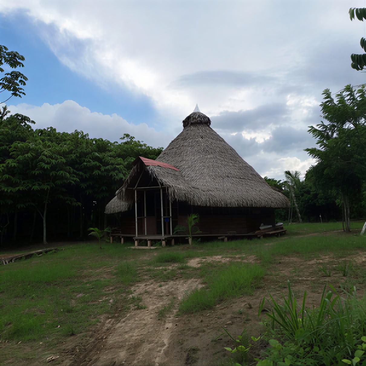 3 veckors ayahuascaretreat i Peru
