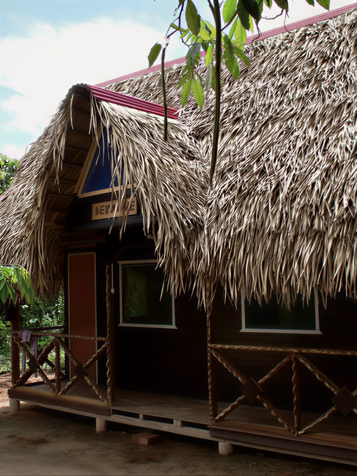 3 veckors ayahuascaförvandling