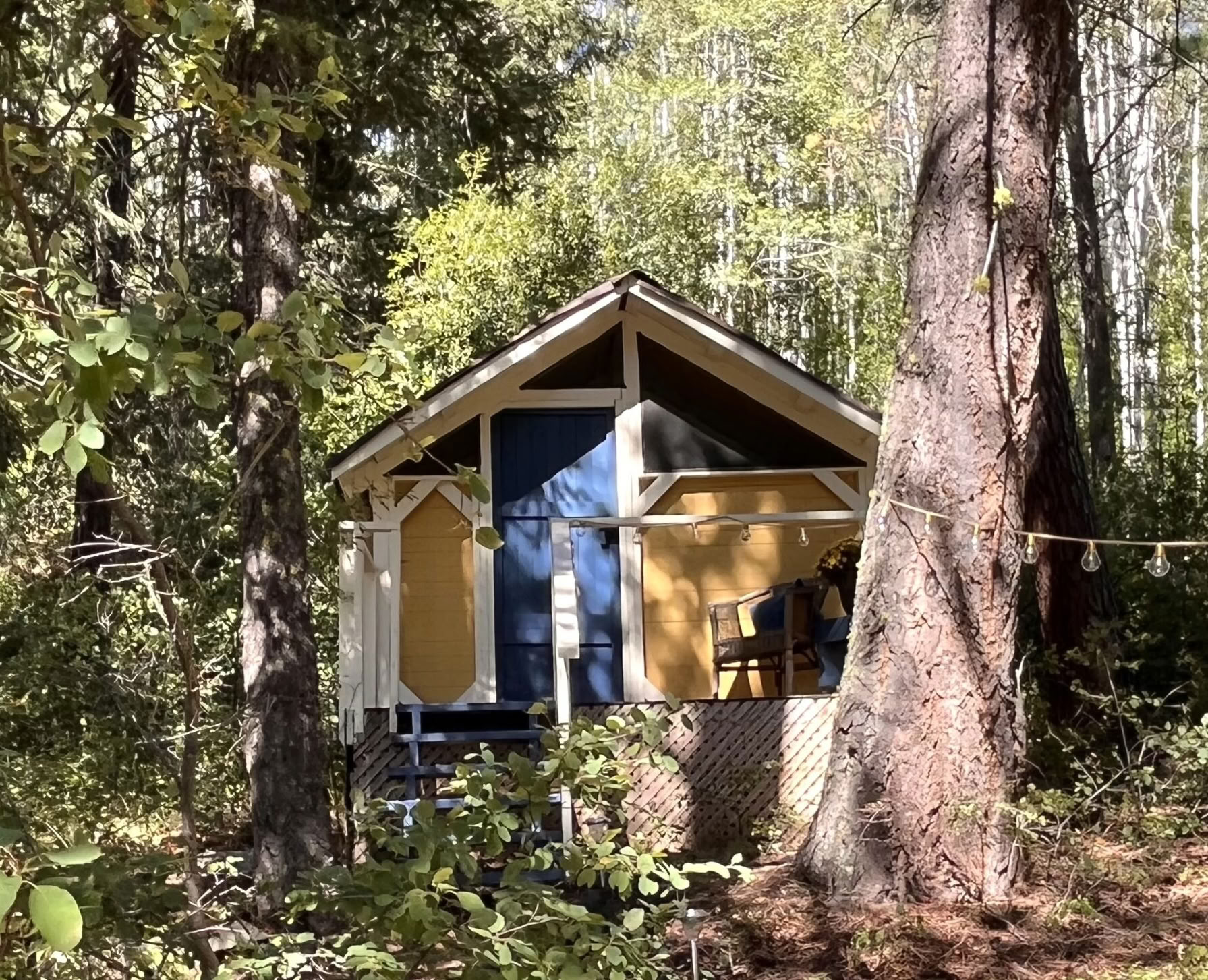 Yoga- och naturretreat med Jacqui Fownes