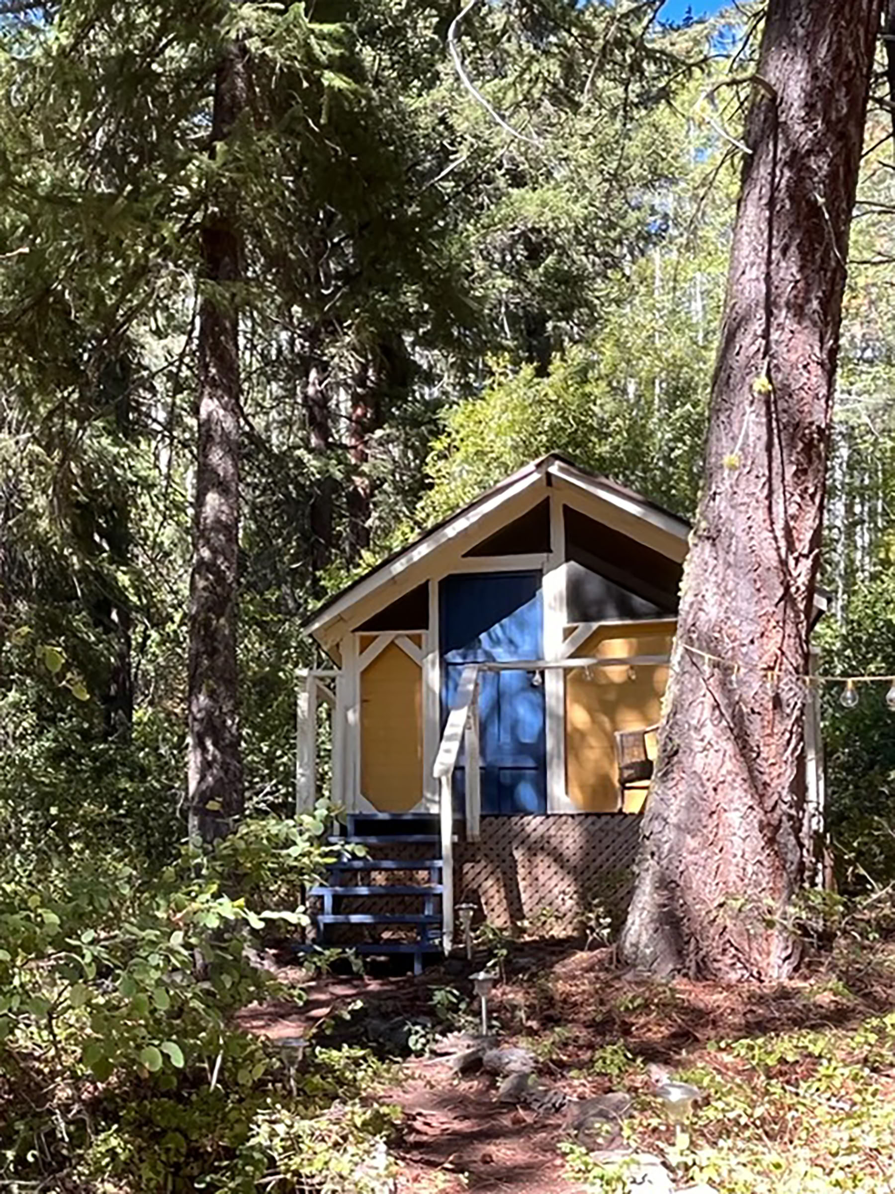 Vild hjärtats pilgrimsresa