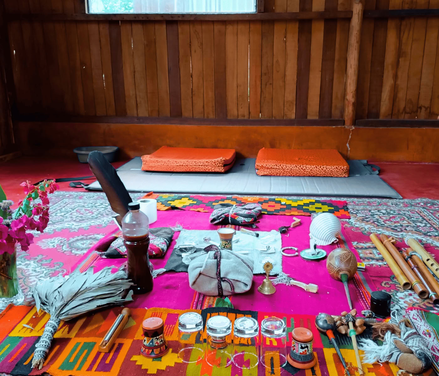 7 dagars ayahuascaretreat + Machu Picchu