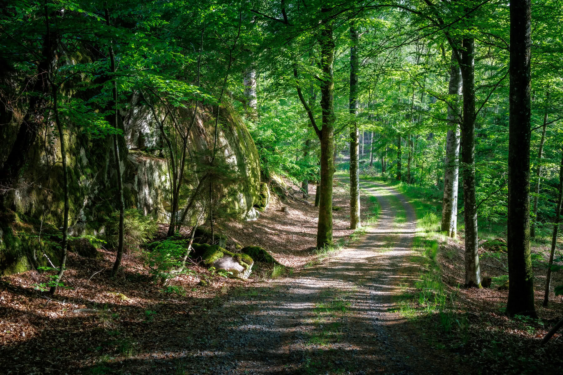 Solo-retreat grundkurs