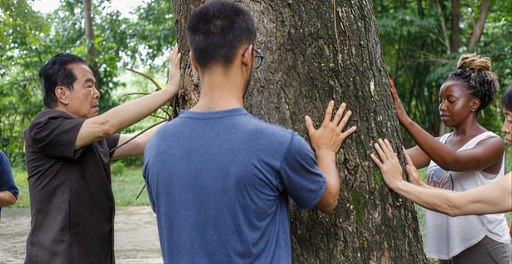 Inre alkemi Qigong-serie Tao Garden 2026
