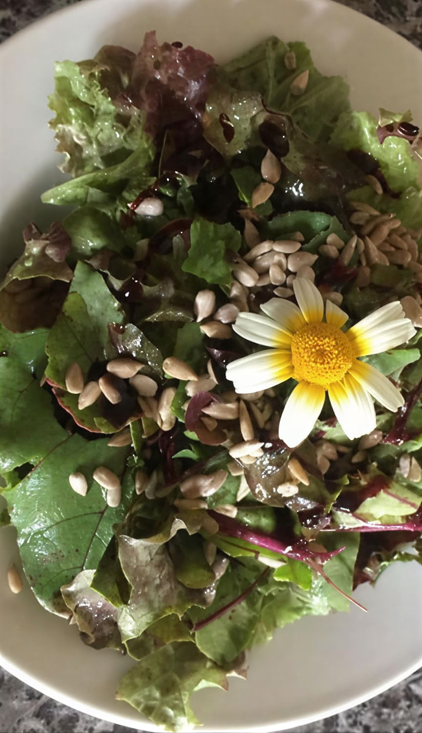 7-dagars ayurveda- och yogaläkningsretreat i naturen
