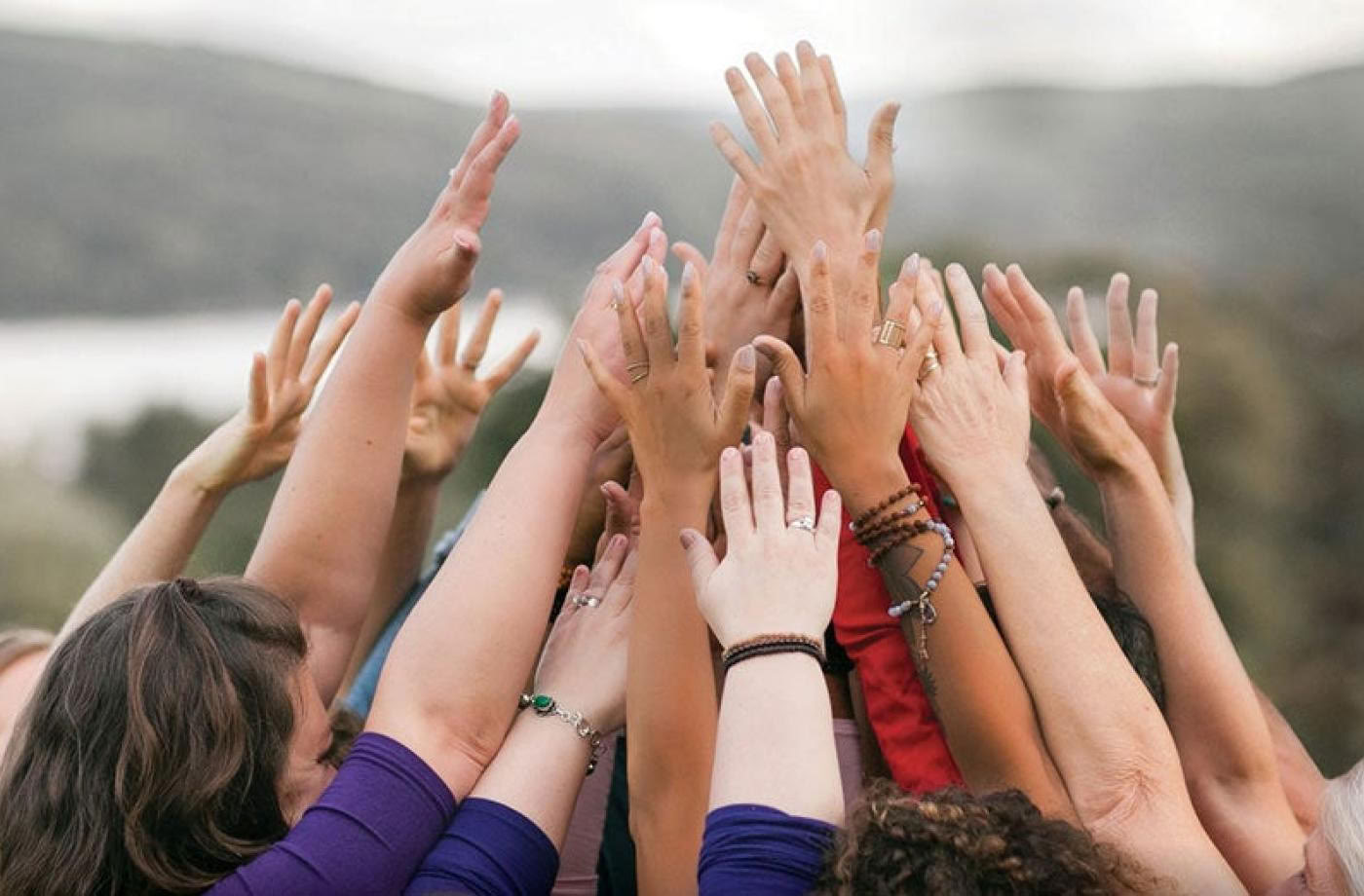 Läkning av roten: en BIPOC-sangha-retreat