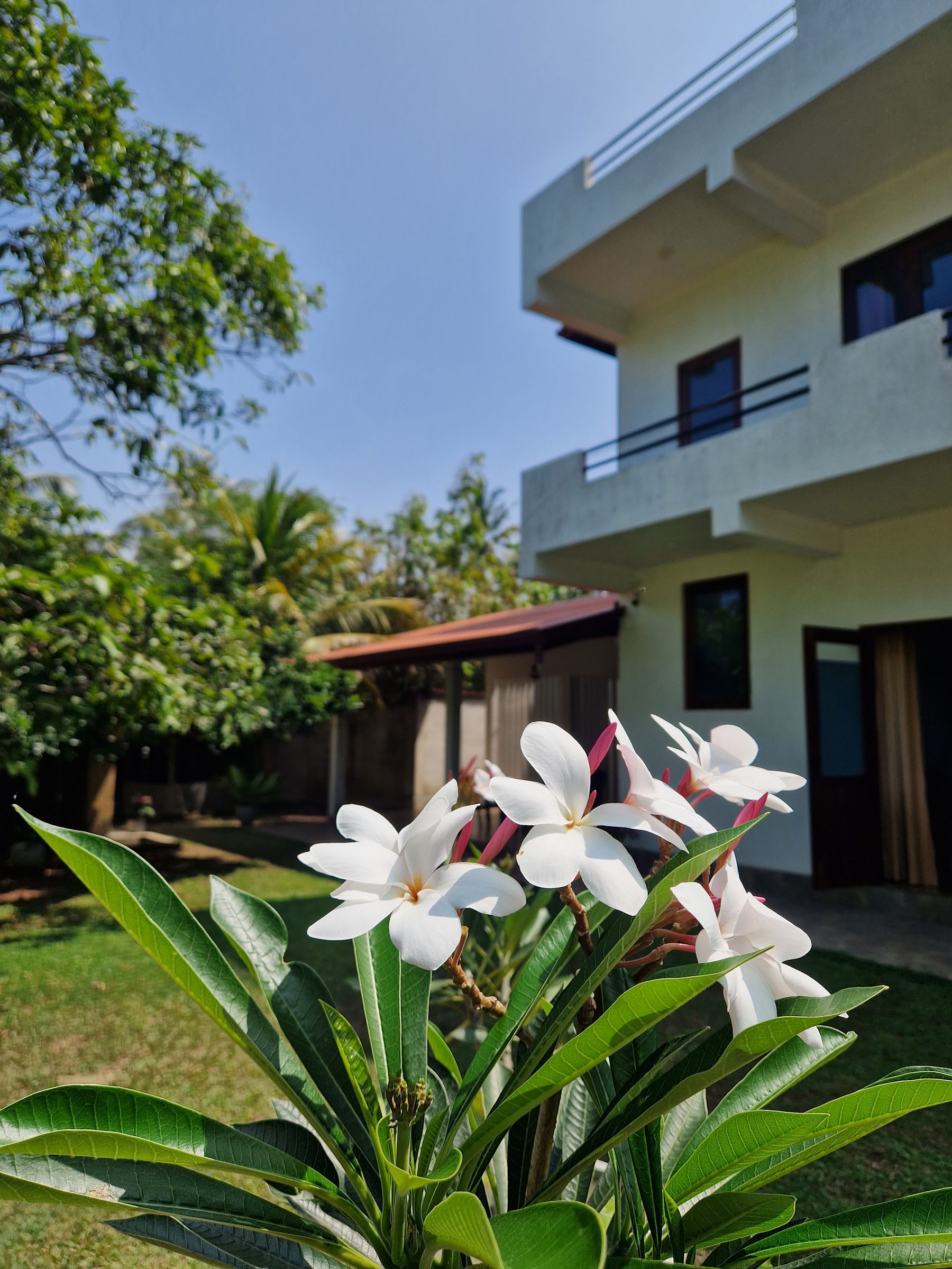 7-dagars återställningsretreat för nervsystemet, yoga och meditation, Sri Lanka