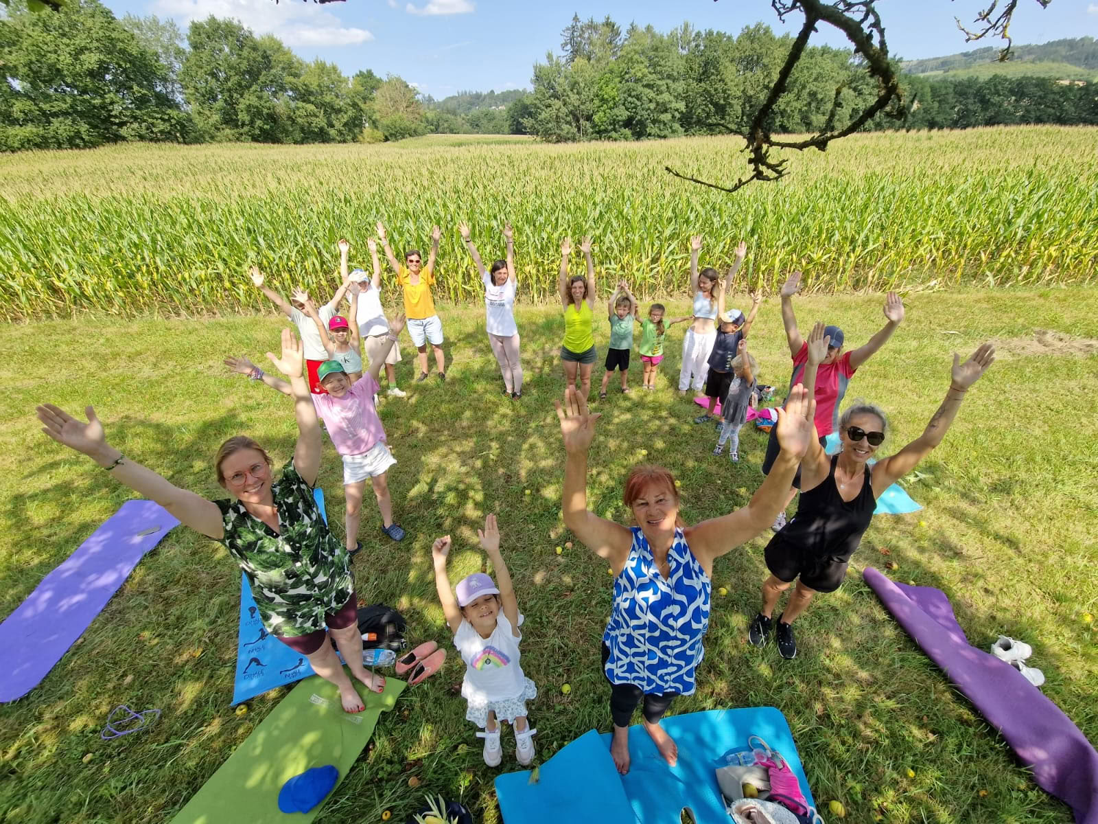 3-dagars transformerande helg med professorn - yogafördjupningshelg