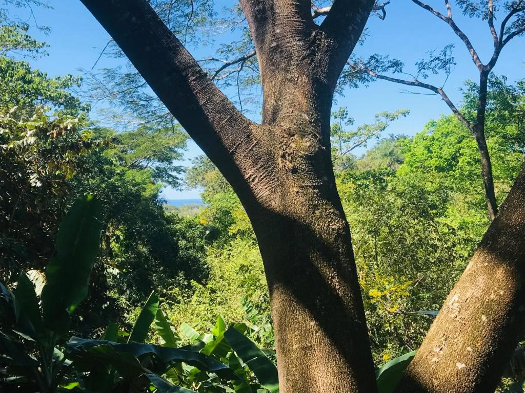 Slappna av, återställ och återhämta dig i Costa Rica