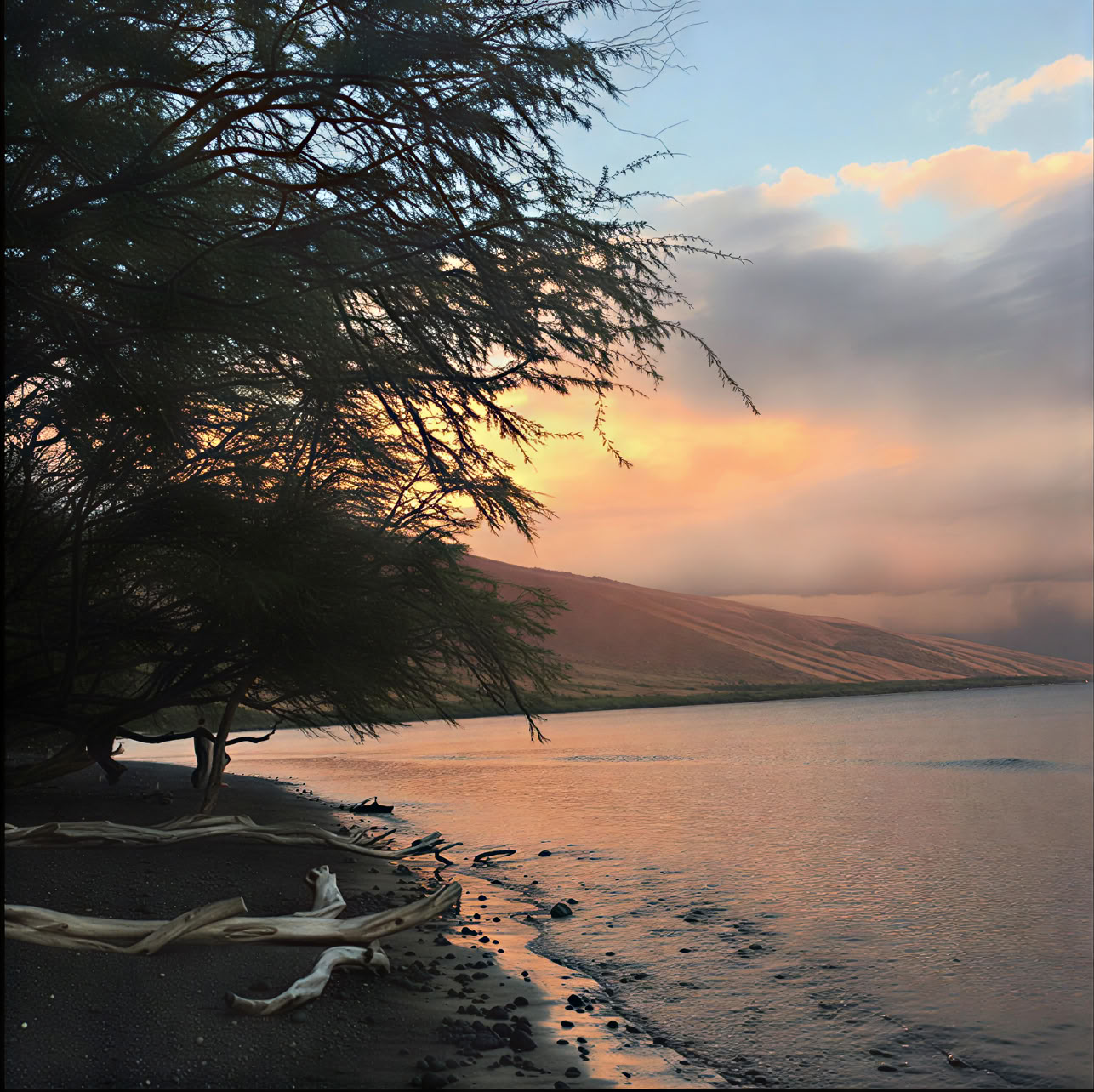 7-dagars yoga- och surfretreat