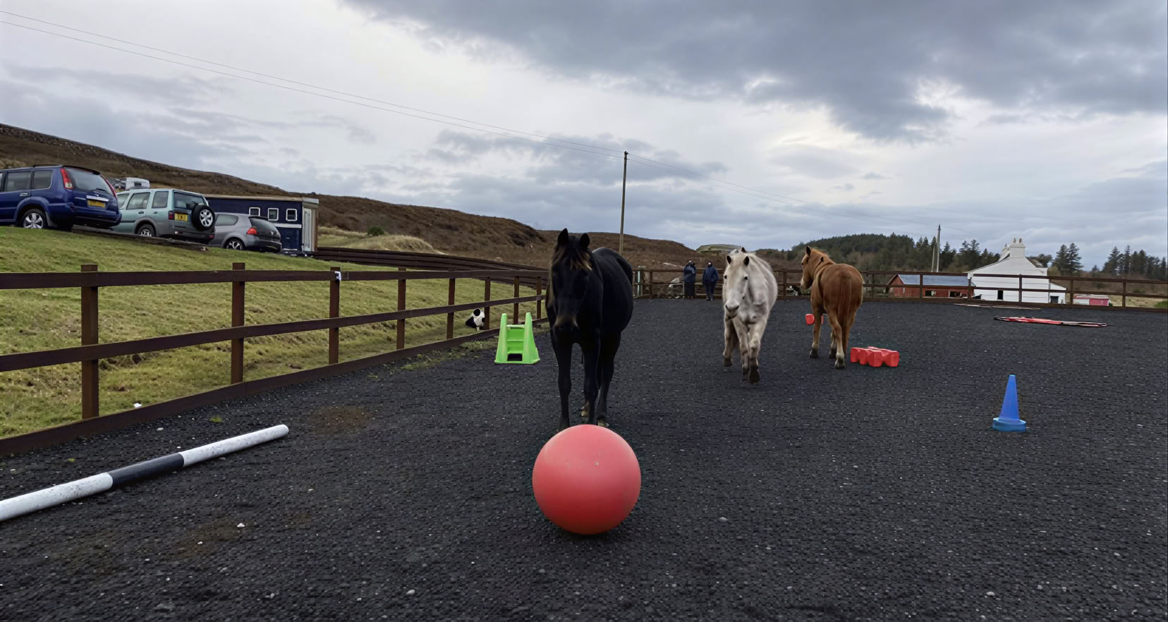 Terapeutisk coaching med hästassisterad metod