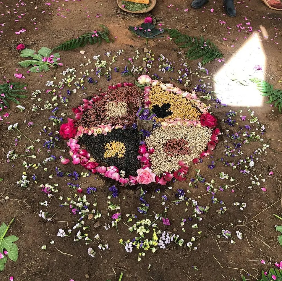 Vilda sommardagar 2026