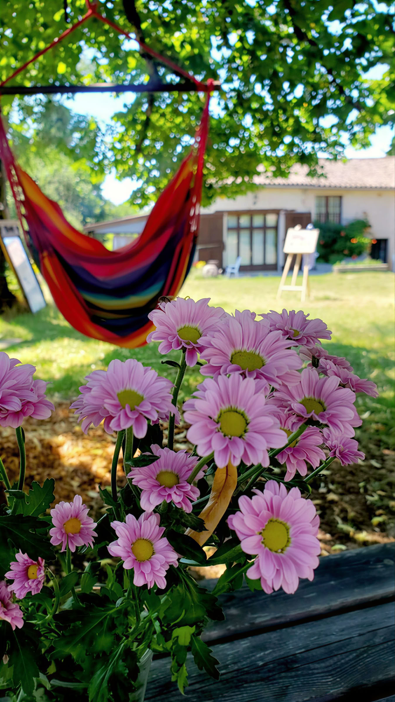 Yoga- och meditationsretreat i södra Frankrike