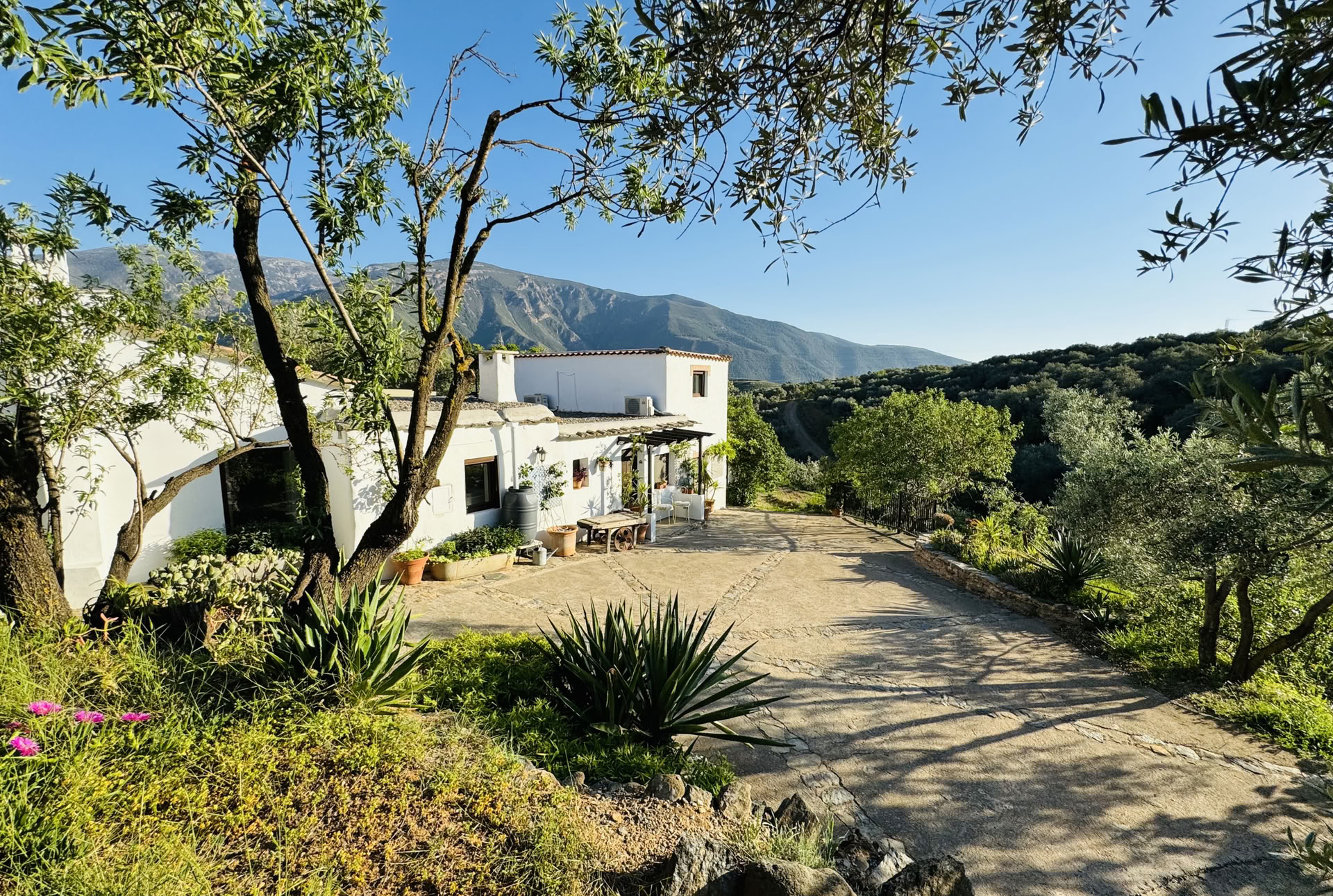 Yogaretreat i Spanien