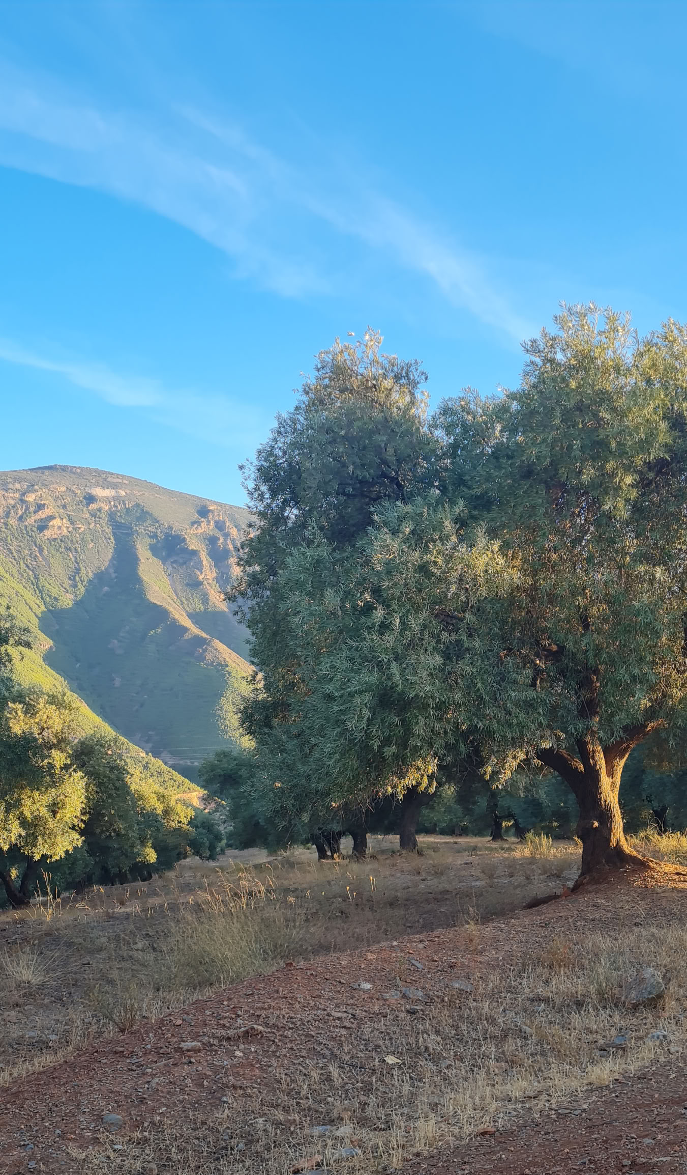 Yogaretreat i Spanien