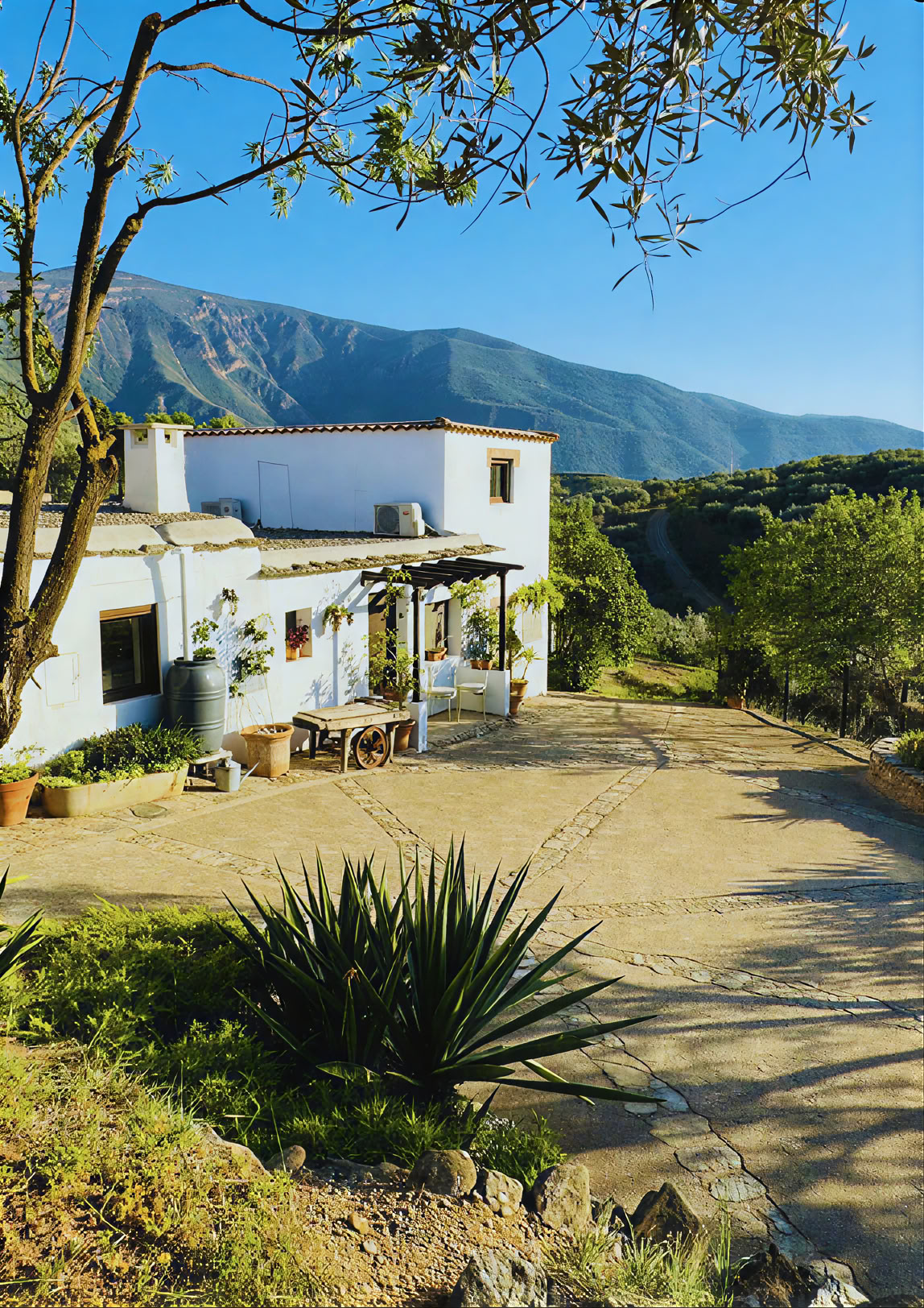 Yogaretreat i Spanien