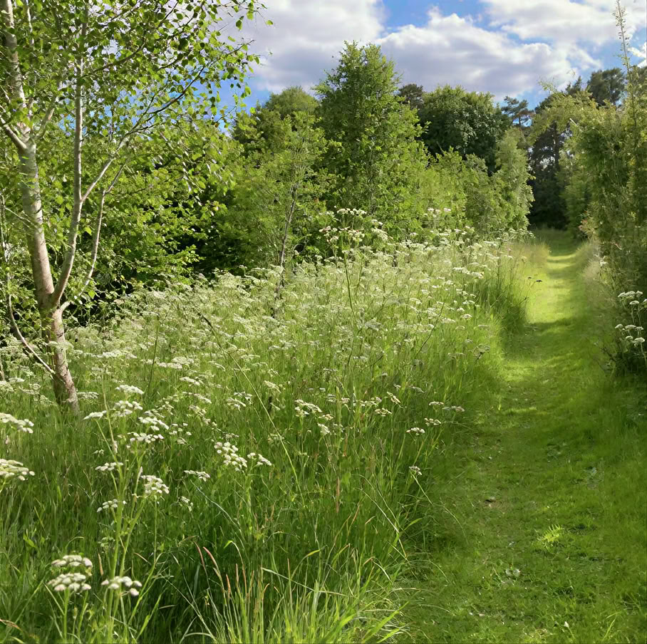 Meditationsretreat: Att bara vara