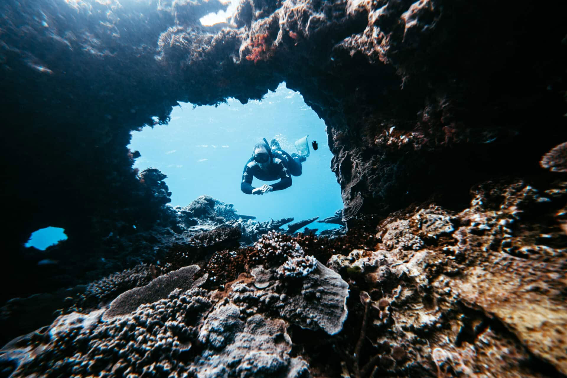 Lady Elliot Island fridykning och endast för instruktörer utan andning