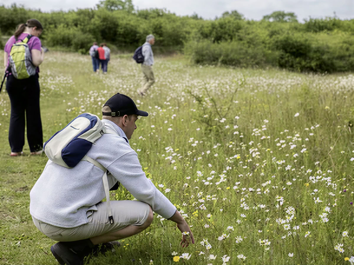 Midsommar-yoga & vitalitet med Margarida Tree | Burren Yoga Retreat | Wellness Retreats Ireland